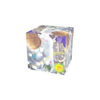 Новогодняя ночь Салют купить в Кемерово | kemerovo.salutsklad.ru