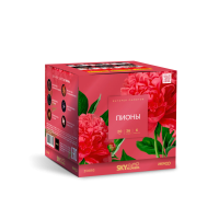 Пионы Салют купить в Кемерово | kemerovo.salutsklad.ru