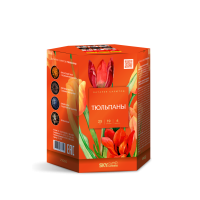 Тюльпаны Салют купить в Кемерово | kemerovo.salutsklad.ru