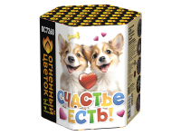 Счастье есть! Салют купить в Кемерово | kemerovo.salutsklad.ru