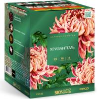 Хризантемы Фейерверк купить в Кемерово | kemerovo.salutsklad.ru