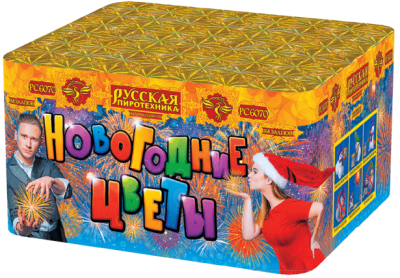 Новогодние цветы Фейерверк купить в Кемерово | kemerovo.salutsklad.ru