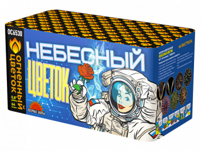 Небесный цветок Салют купить в Кемерово | kemerovo.salutsklad.ru