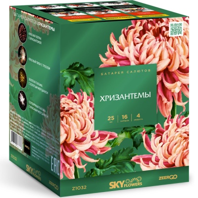 Хризантемы Фейерверк купить в Кемерово | kemerovo.salutsklad.ru