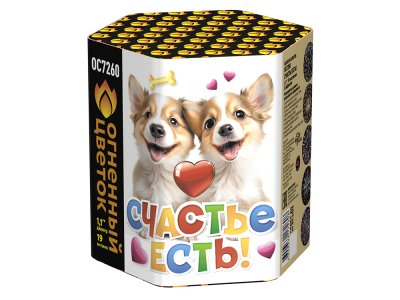 Счастье есть! Салют купить в Кемерово | kemerovo.salutsklad.ru