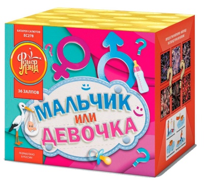 Мальчик или девочка М Фейерверк купить в Кемерово | kemerovo.salutsklad.ru